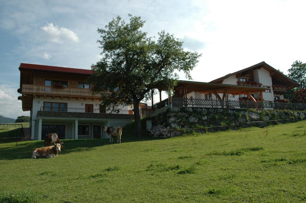 Ferienhaus U. Appartement Knauss Schladming Εξωτερικό φωτογραφία